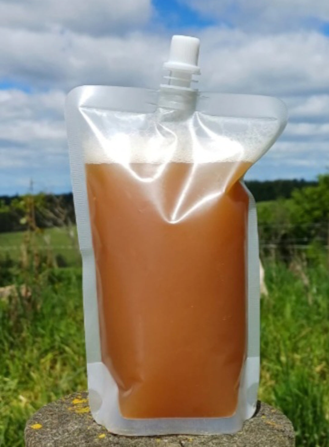 Goats Milk Body Wash COCONUT FREE (Castile)