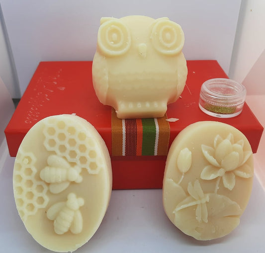 Soap Painting Kit Owl & Flowers